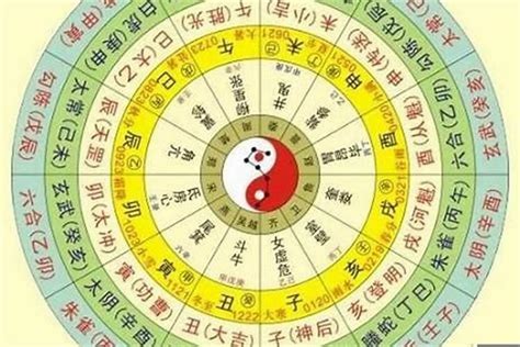 己卯年五行|生辰八字算命、五行喜用神查询（免费测算）